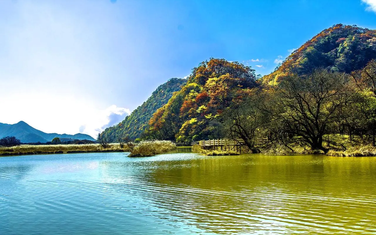 高端创新精密